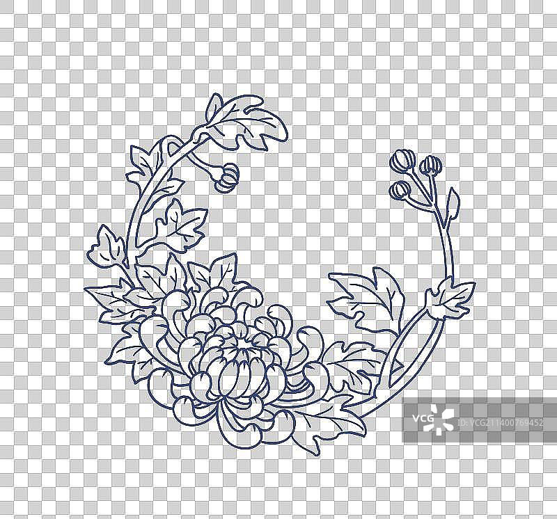 四君子之菊花线稿图片素材