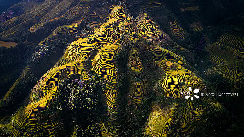 龙脊梯田图片素材