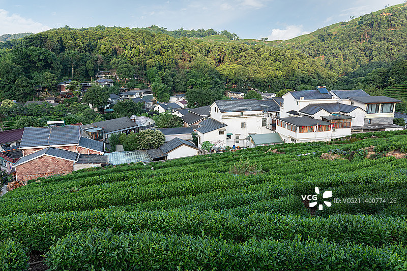 杭州西湖风景区龙井村茶园房屋风景图片素材