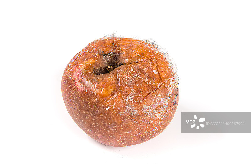 白色背景上一个发霉的坏苹果图片素材