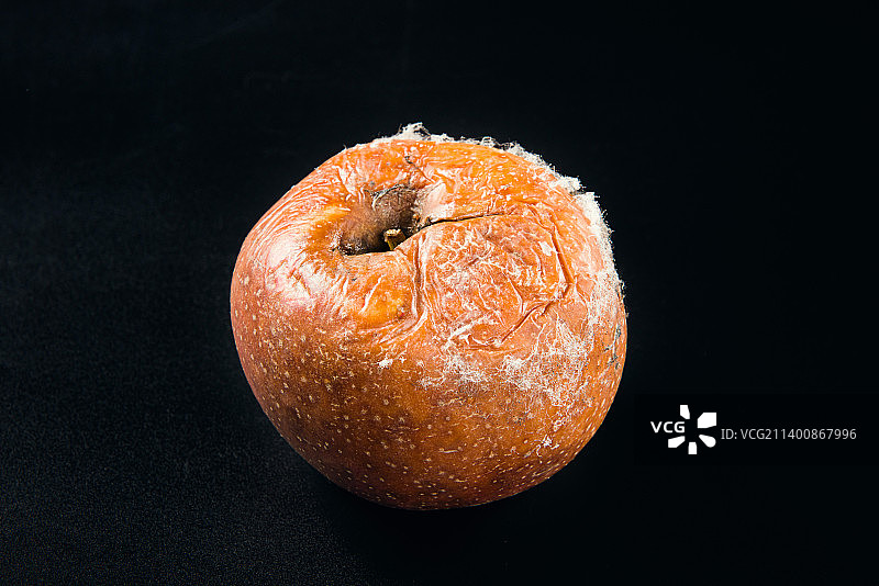 黑色背景上一个发霉的坏苹果图片素材