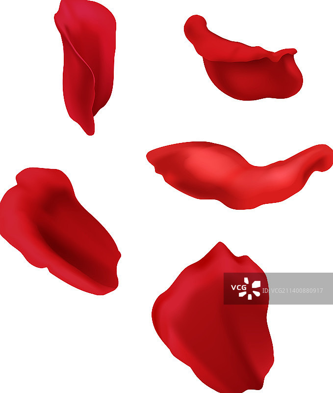 逼真玫瑰花瓣图片素材