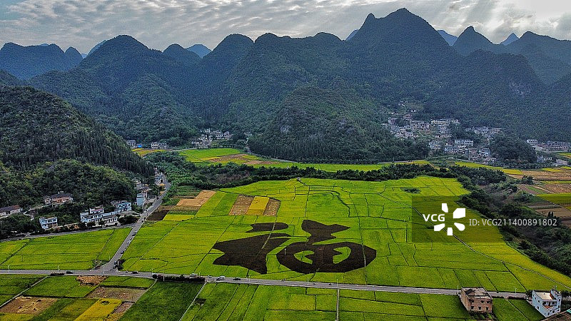 兴义市 万峰林景区 福字田图片素材