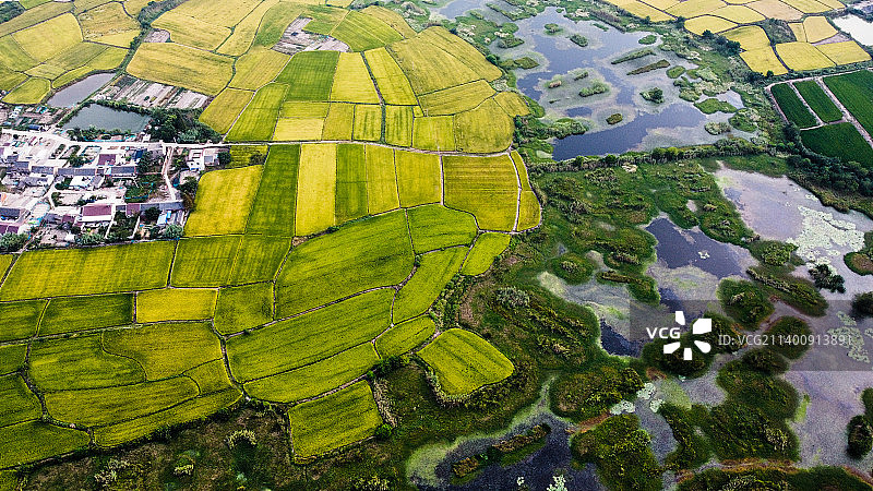 中秋的乡村田野图片素材