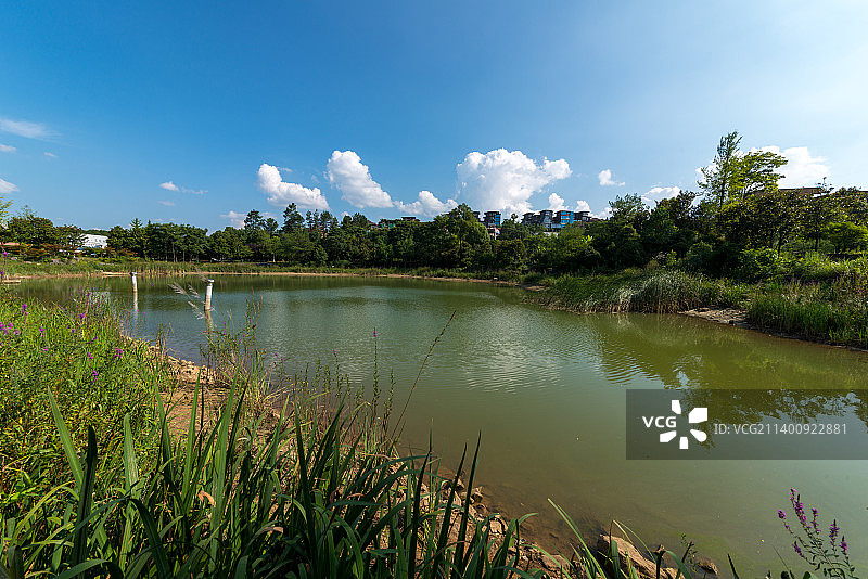 龙里县白晶谷湿地公园图片素材