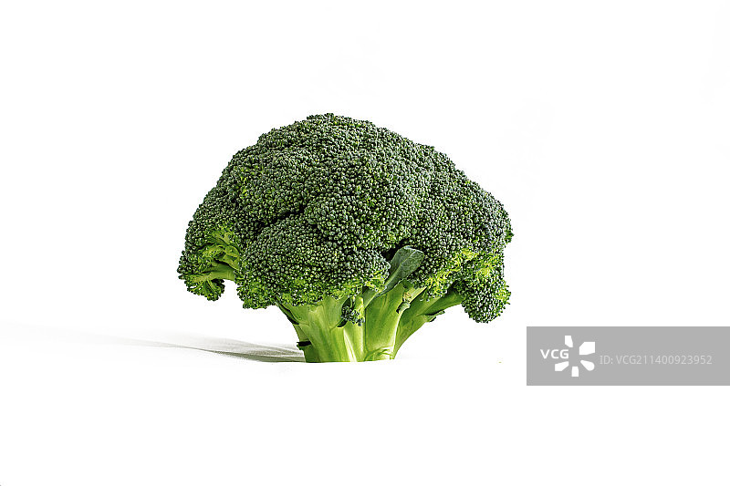 新鲜翠绿的西蓝花图片素材