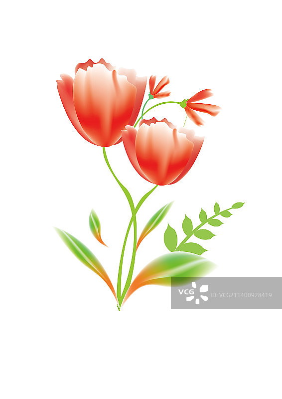 花朵植物鲜花图片素材