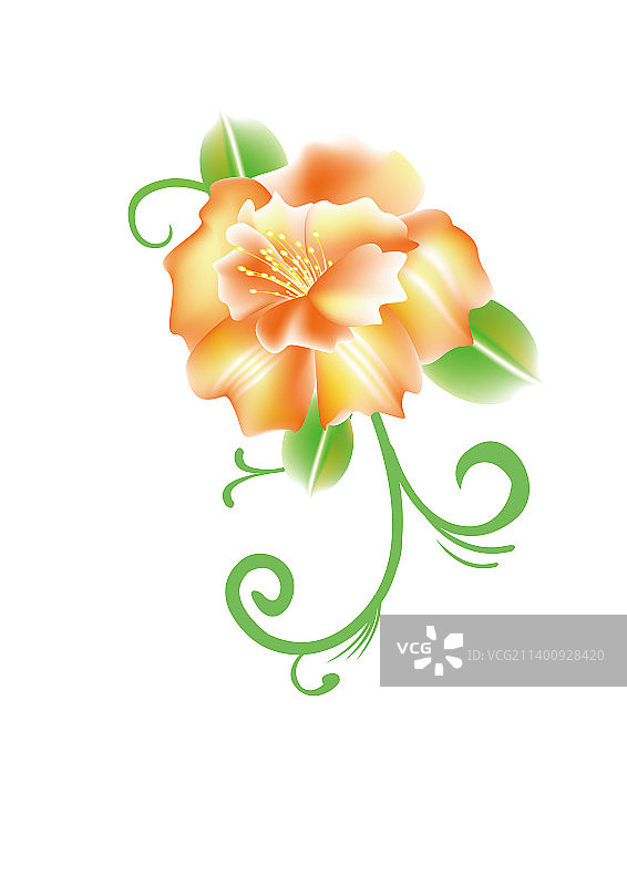 花朵植物鲜花图片素材