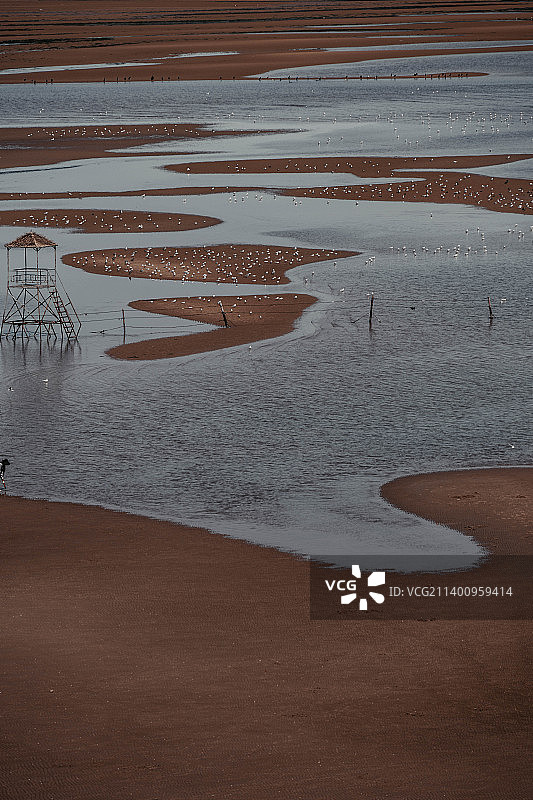 秦皇岛鸽子窝公园图片素材