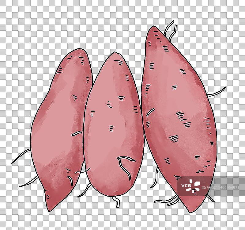 免抠元素：红薯图片素材