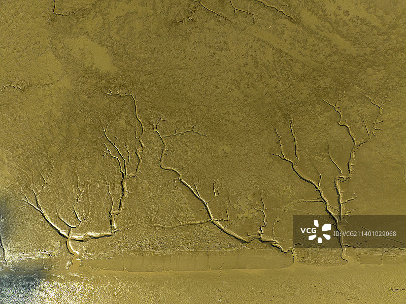 江苏省盐城市东台条子泥自然遗产地风景图片素材