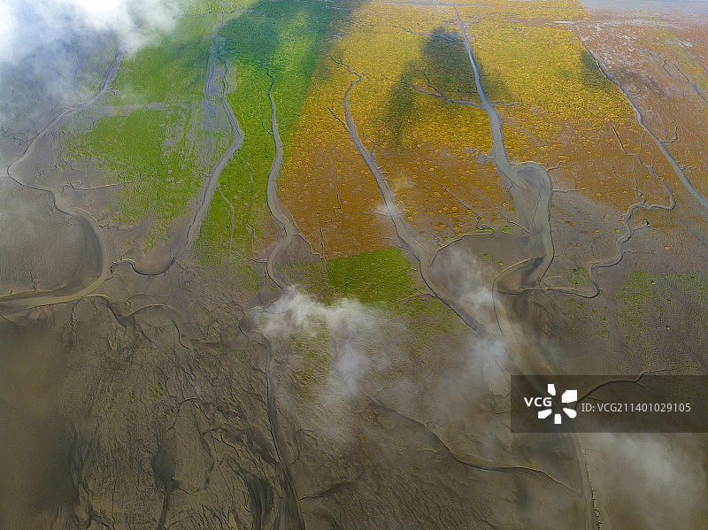 江苏省盐城市东台条子泥自然遗产地风景图片素材