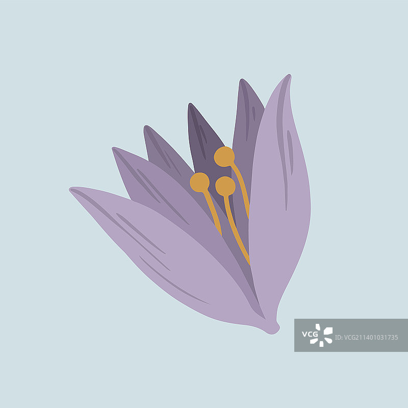 盛开的紫色植物花卉社交广告图片素材