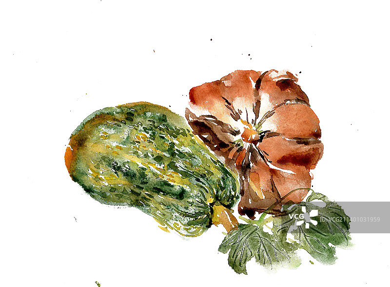 收获的南瓜图片素材