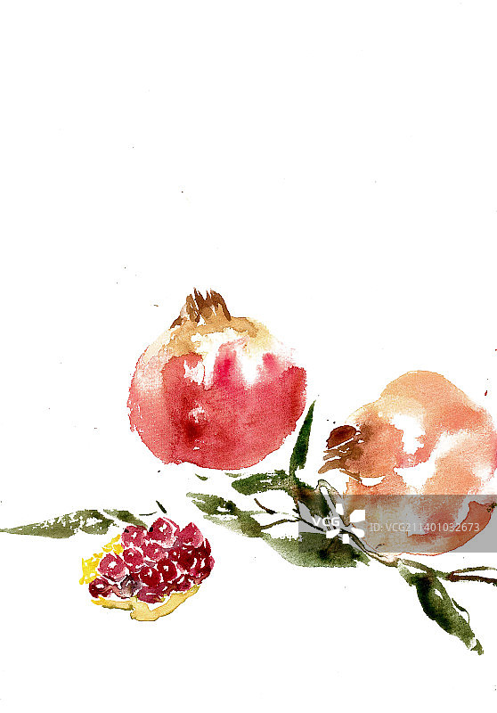 晶莹的石榴图片素材