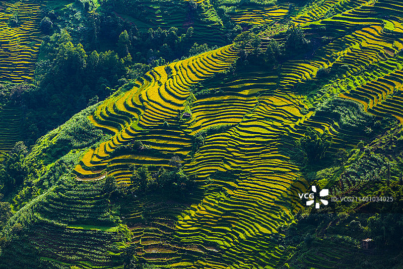 亦田亦景图片素材