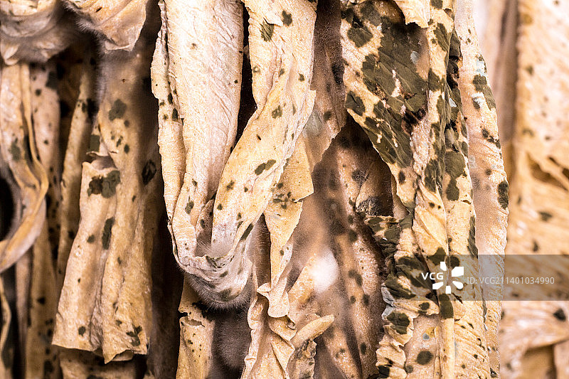 发霉长毛的豆皮图片素材