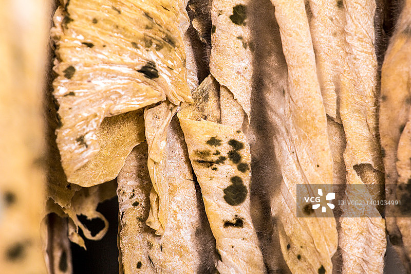 发霉长毛的豆皮图片素材