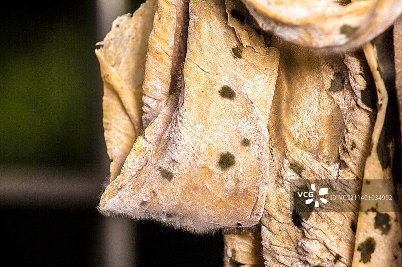 发霉长毛的豆皮图片素材