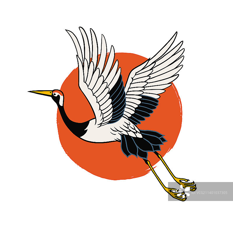 飞越红日的日本苍鹭图片素材