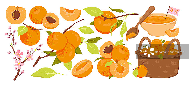 各种杏产品图片素材