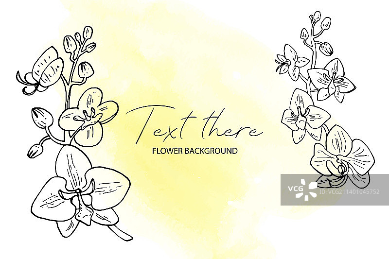 水彩背景上手绘兰花枝图片素材