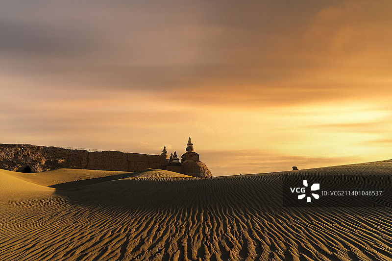 内蒙额济纳黑水城胡杨林傍晚夕阳图片素材