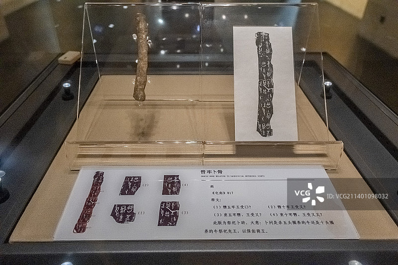 安阳文字博物馆甲骨文图片素材