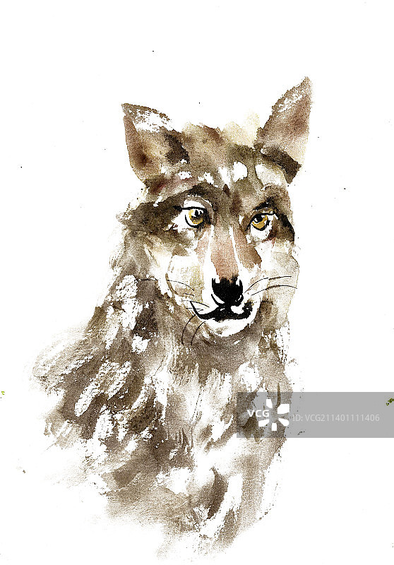 凶狠的狼图片素材