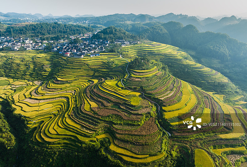 贵州丹寨高要梯田稻谷黄了DJI_0292图片素材