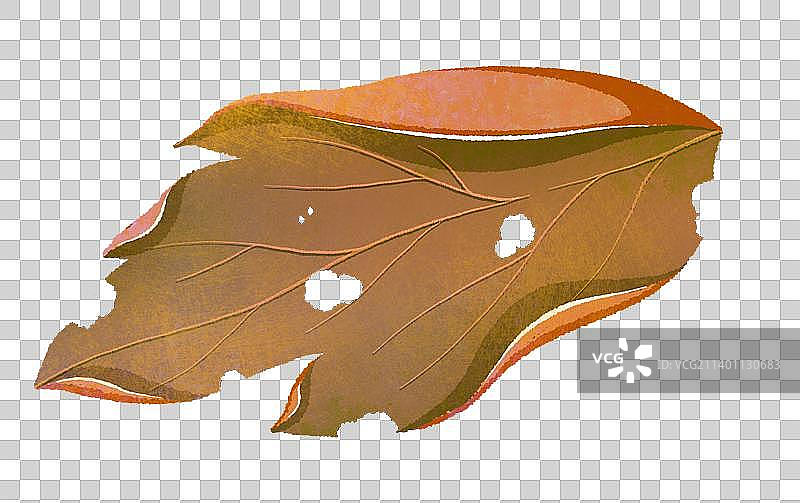 枯叶落叶 秋天图片素材