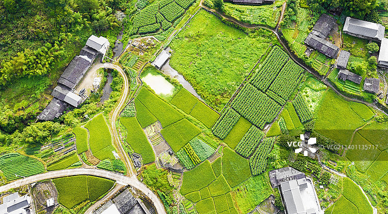福建永安市丰田村图片素材