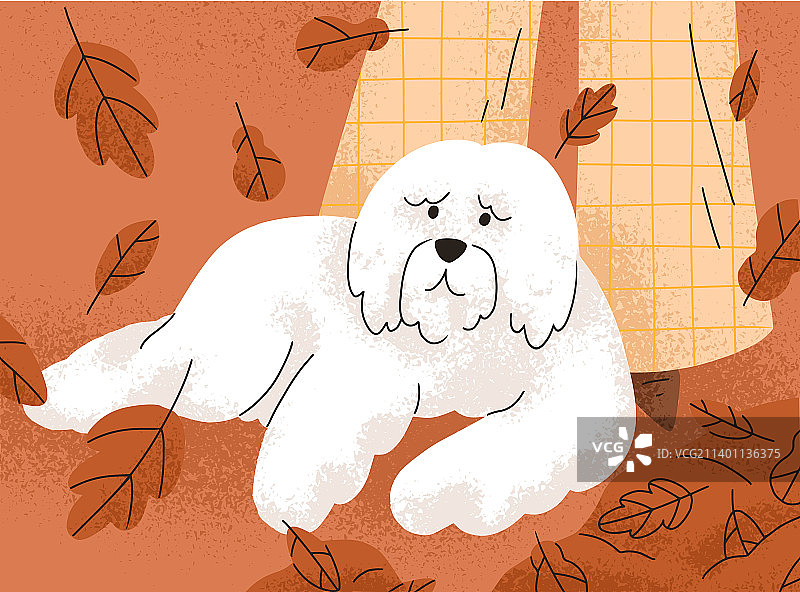 躺卧的俄罗斯牧羊犬图片素材