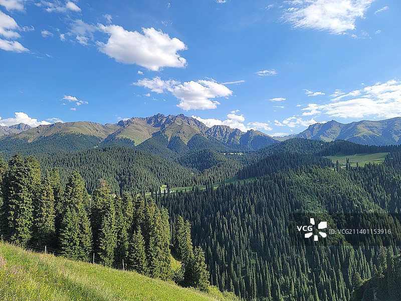 大美新疆-江布拉克图片素材