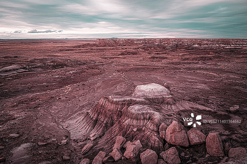 石化林国家公园的壮丽景色图片素材