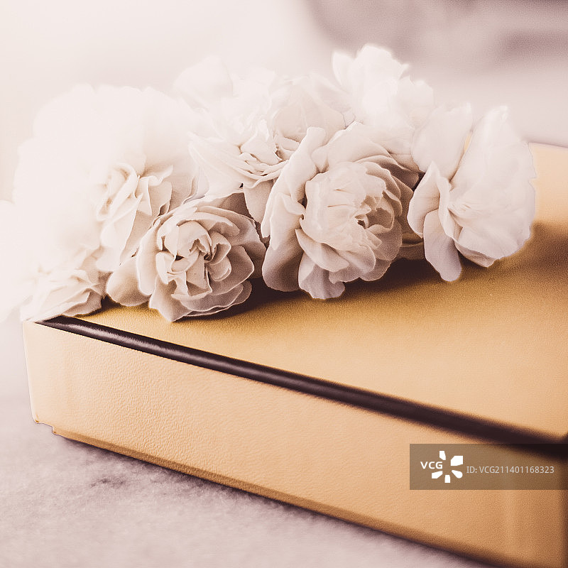 桌上鲜花特写图片素材