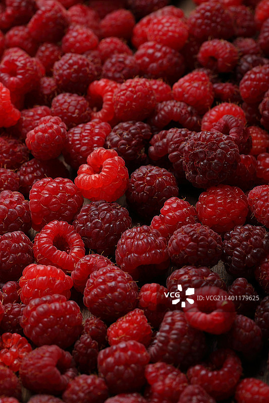 覆盆子的全画幅镜头图片素材