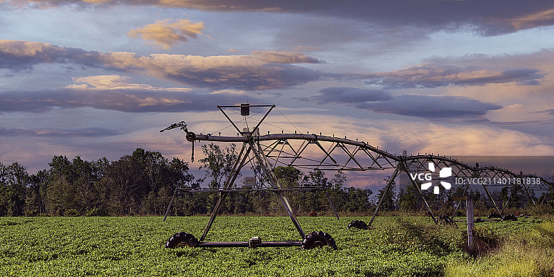 佐治亚州，花生田中的中心枢轴灌溉设备，配有浪漫的天空图片素材