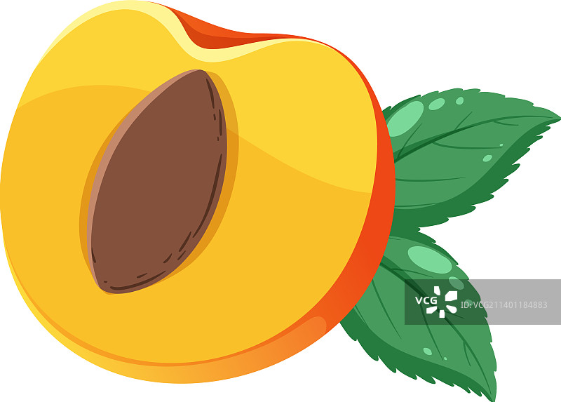 分离的半个桃子图片素材