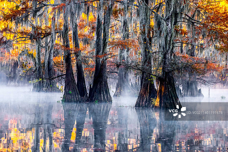 秋季森林湖畔树木，美国明尼苏达州马丁湖图片素材