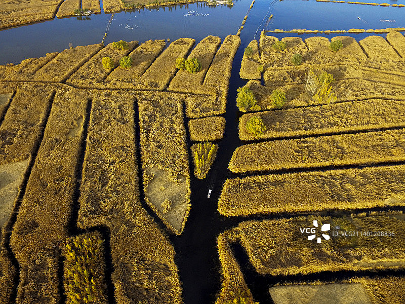 秋天的白洋淀图片素材