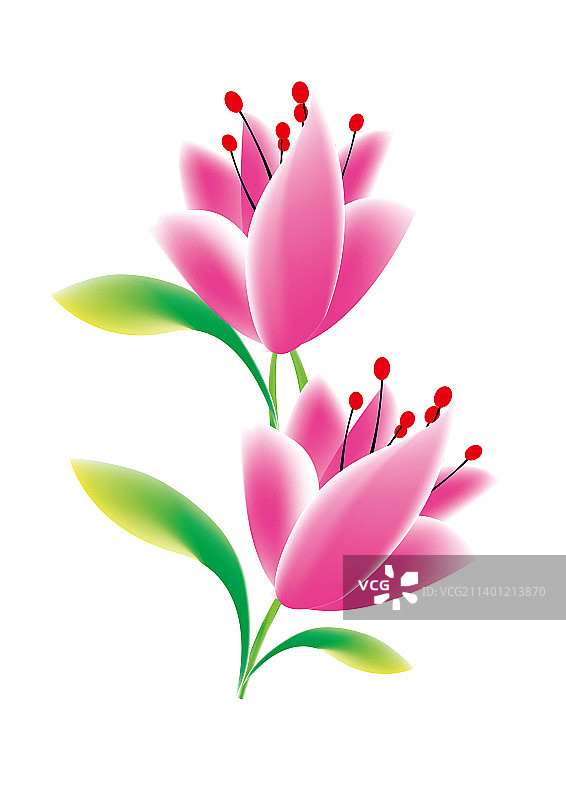 花朵植物鲜花、矢量图片素材