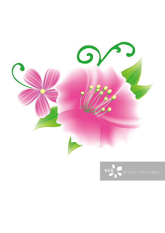 花朵植物鲜花、矢量图片素材