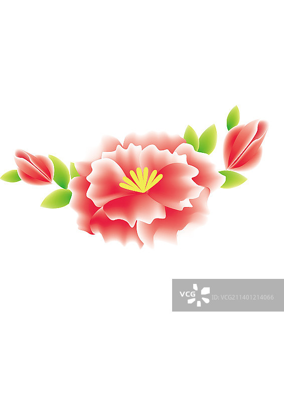 花朵植物鲜花、矢量图片素材