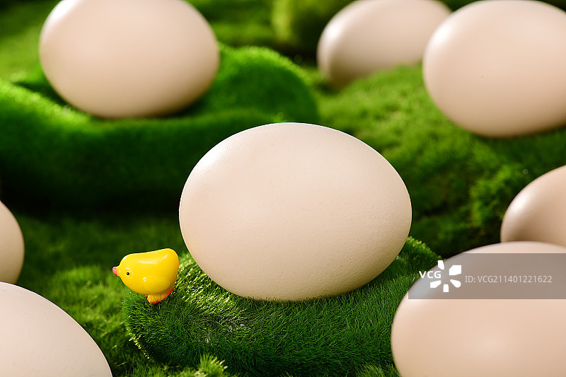 鸡蛋图片素材