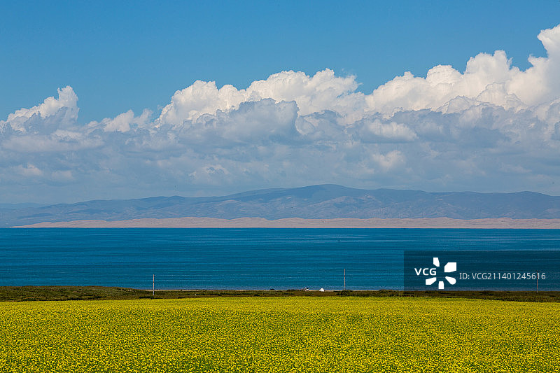 蓝天白云下的青海湖风光图片素材