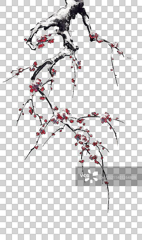 梅花图片素材