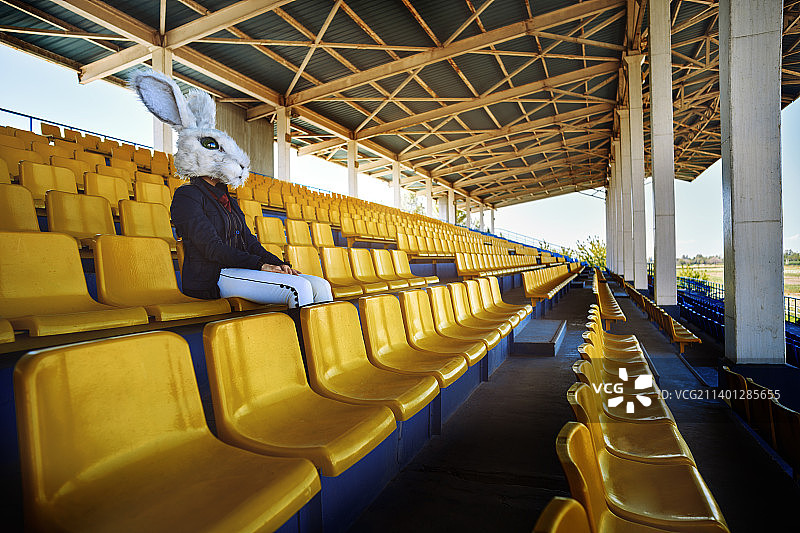 在黄色座位体育场里戴着兔子头套的女人图片素材