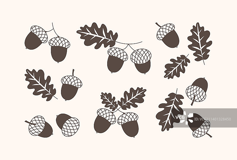 橡子图标 橡树叶与树枝图片素材