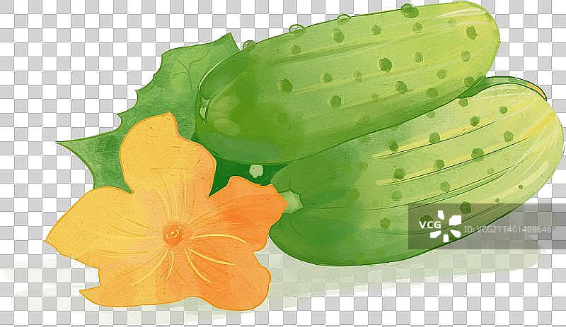 黄瓜图片素材